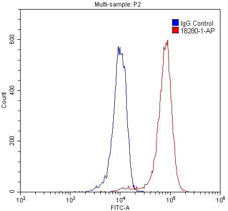 FC experiment of SH-SY5Y using 18280-1-AP