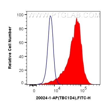 Flow cytometry (FC) experiment of HeLa cells using TBC1D4 Polyclonal antibody (20024-1-AP)