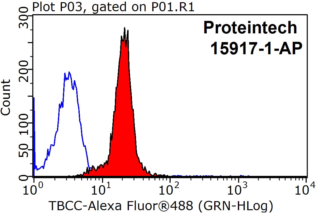 Flow cytometry (FC) experiment of HepG2 cells using TBCC Polyclonal antibody (15917-1-AP)