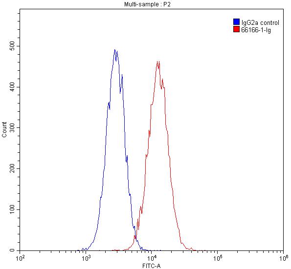 Flow cytometry (FC) experiment of HepG2 cells using TBP Monoclonal antibody (66166-1-Ig)