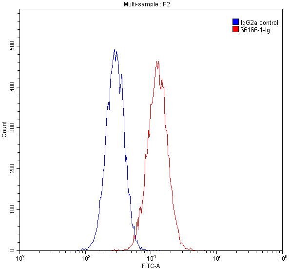 Flow cytometry (FC) experiment of HepG2 cells using TBP Monoclonal antibody (66166-1-Ig)