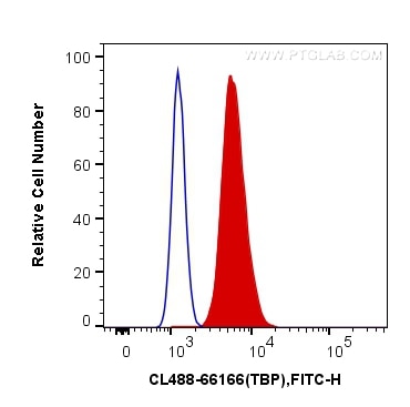 Flow cytometry (FC) experiment of HeLa cells using CoraLite® Plus 488-conjugated TBP Monoclonal antib (CL488-66166)