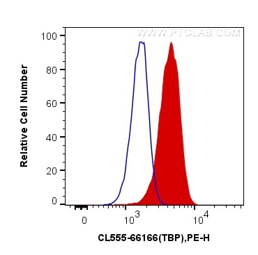 Flow cytometry (FC) experiment of HeLa cells using CoraLite®555-conjugated TBP Monoclonal antibody (CL555-66166)