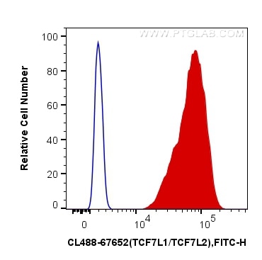 Flow cytometry (FC) experiment of A431 cells using CoraLite® Plus 488-conjugated TCF7L1/TCF7L2 Monocl (CL488-67652)