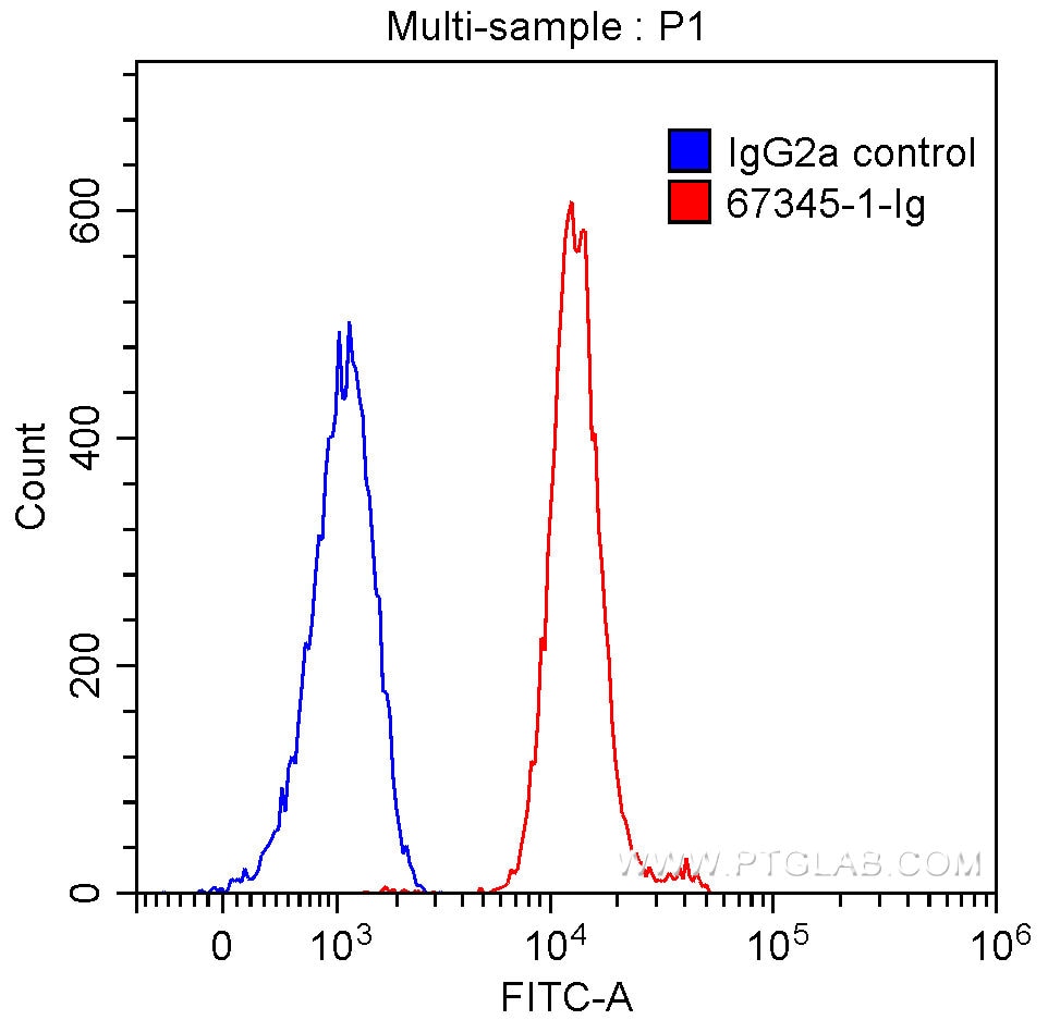 Flow cytometry (FC) experiment of HeLa cells using TDP-43 (C-terminal) Monoclonal antibody (67345-1-Ig)