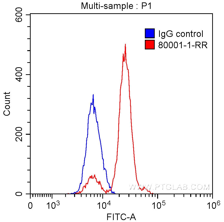 Flow cytometry (FC) experiment of HeLa cells using TDP-43 Recombinant antibody (80001-1-RR)