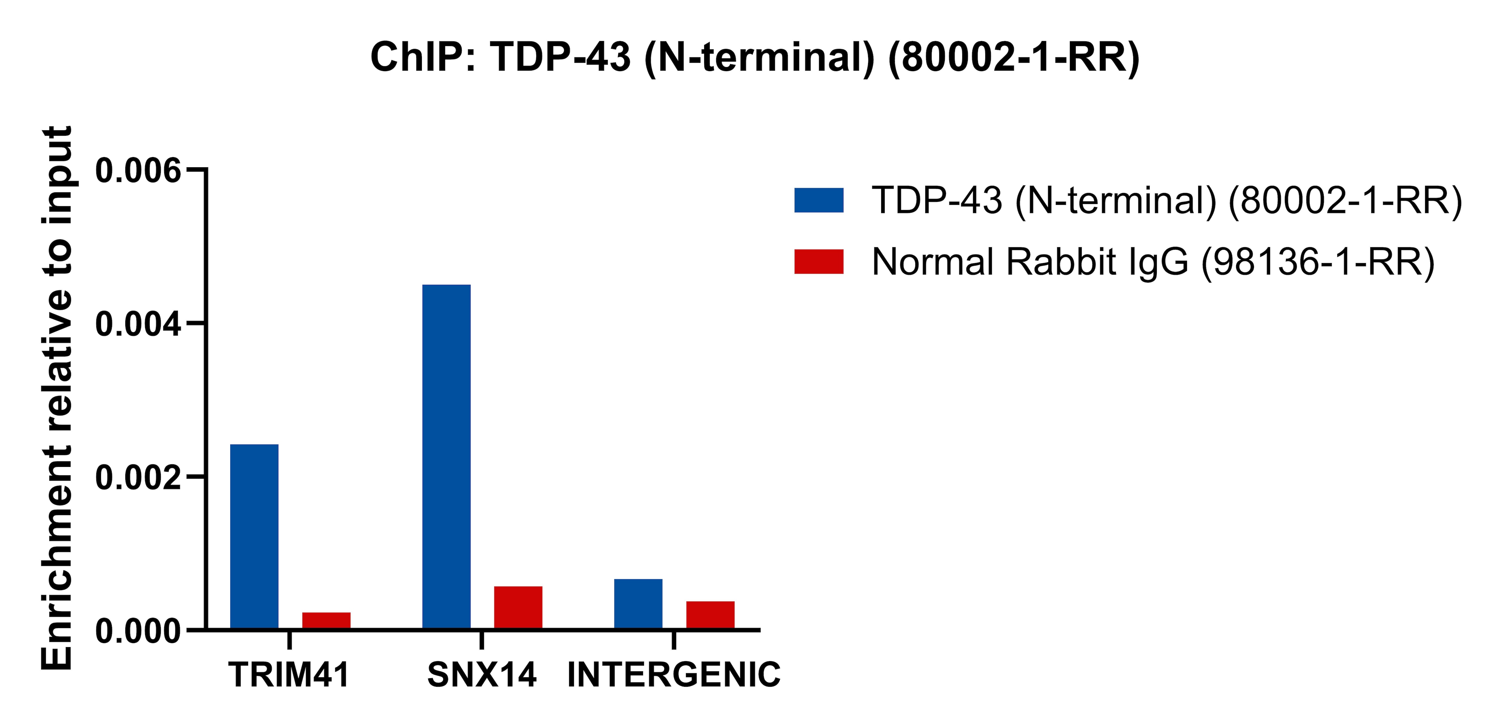 ChIP experiment of HEK-293T cells using TDP-43 (N-terminal) Recombinant monoclonal antibod (80002-1-RR)