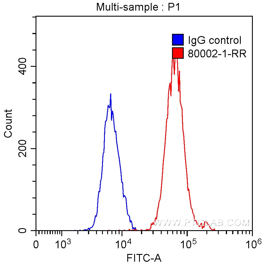 Flow cytometry (FC) experiment of HeLa cells using TDP-43 Recombinant antibody (80002-1-RR)