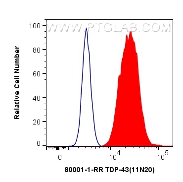 Flow cytometry (FC) experiment of HeLa cells using CoraLite® Plus 488-conjugated TDP-43 Recombinant a (CL488-80001)