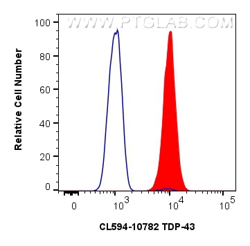Flow cytometry (FC) experiment of HeLa cells using CoraLite®594-conjugated TDP-43 Polyclonal antibody (CL594-10782)