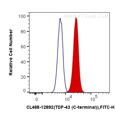 Flow cytometry (FC) experiment of HeLa cells using CoraLite® Plus 488-conjugated TDP-43 (C-terminal)  (CL488-12892)