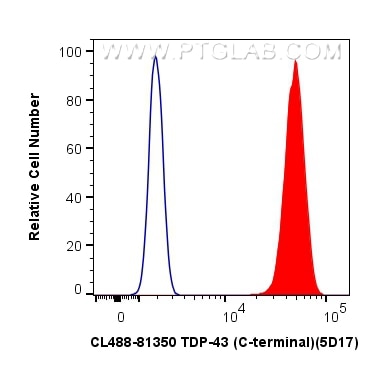 Flow cytometry (FC) experiment of HeLa cells using CoraLite® Plus 488-conjugated TDP-43 (C-terminal)  (CL488-81350)