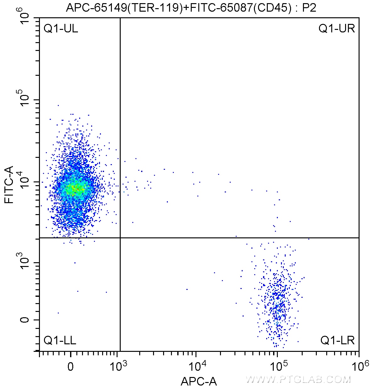 Flow cytometry (FC) experiment of mouse bone marrow cells using APC Anti-Mouse TER-119 (TER-119) (APC-65149)