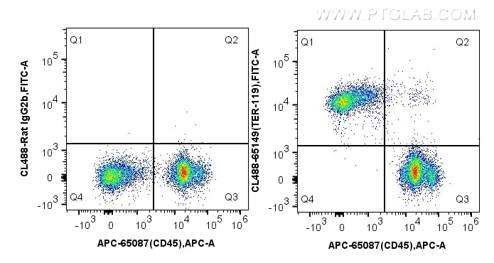 FC experiment of mouse bone marrow cells using CL488-65149