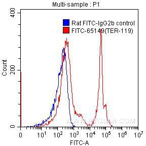 Flow cytometry (FC) experiment of mouse bone marrow cells using FITC Anti-Mouse TER-119 (TER-119) (FITC-65149)