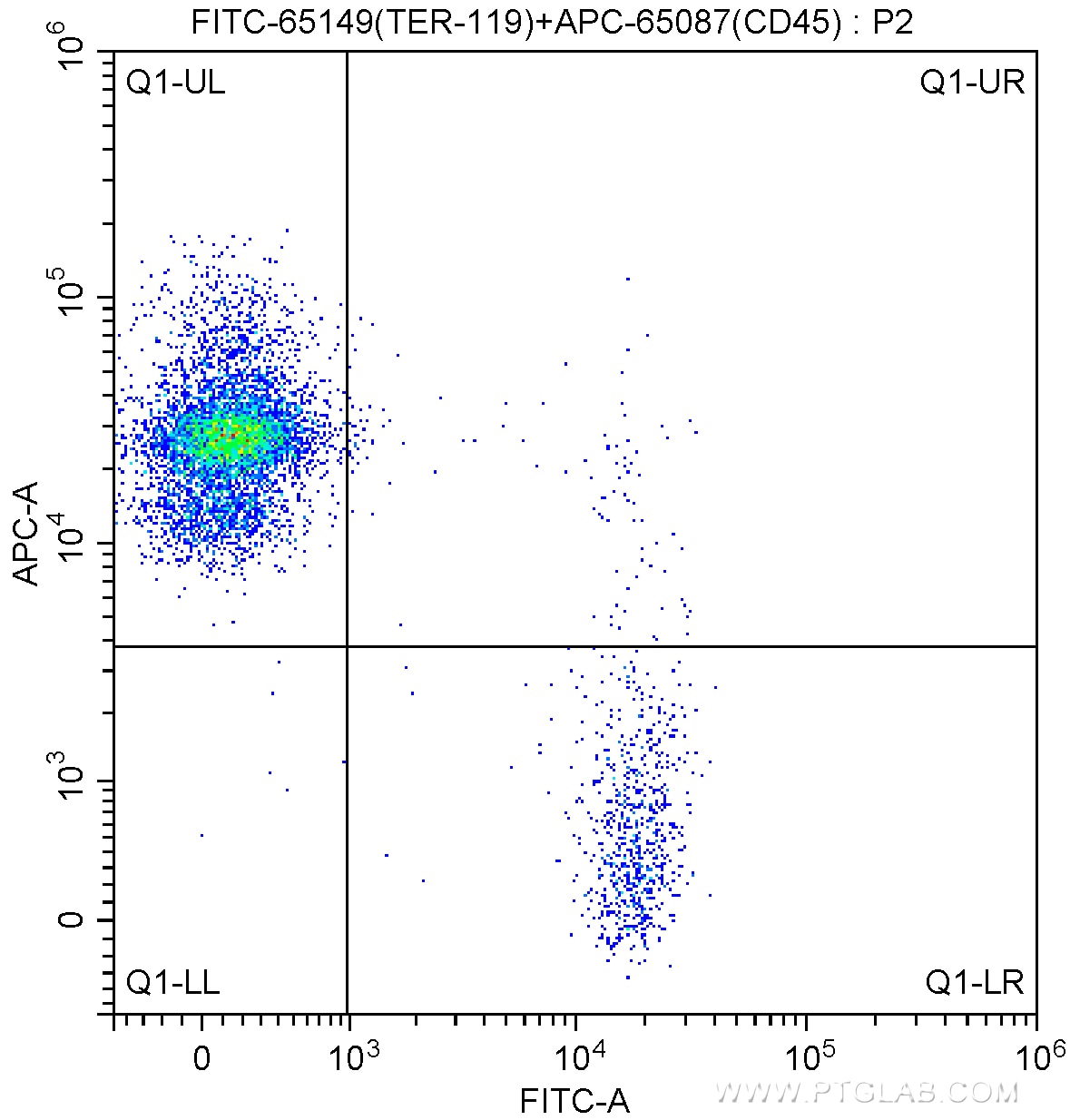 FC experiment of mouse bone marrow cells using FITC-65149