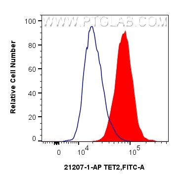 1x10^6 HeLa cells were intracellularly stained with 0.25 ug TET2 Polyclonal antibody (21207-1-AP) and CoraLite®488-Conjugated Goat Anti-Rabbit IgG(H+L) (SA00013-2)(red), or 0.25 ug Isotype Control (blue). Cells were fixed and permeabilized with Transcription Factor Staining Buffer Kit (PF00011). Flow cytometry (FC) experiment of HeLa cells using TET2 Polyclonal antibody (21207-1-AP)