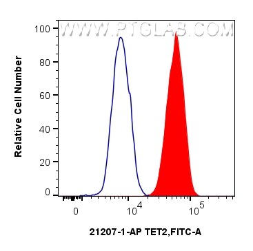 1x10^6 RAW 264.7 cells were intracellularly stained with 0.25 ug TET2 Polyclonal antibody (21207-1-AP) and CoraLite®488-Conjugated Goat Anti-Rabbit IgG(H+L) (SA00013-2)(red), or 0.25 ug Isotype Control (blue). Cells were fixed and permeabilized with Transcription Factor Staining Buffer Kit (PF00011). Flow cytometry (FC) experiment of RAW 264.7 cells using TET2 Polyclonal antibody (21207-1-AP)