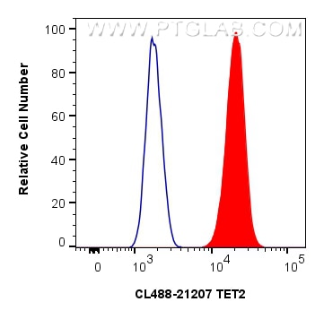 Flow cytometry (FC) experiment of HeLa cells using CoraLite® Plus 488-conjugated TET2 Polyclonal anti (CL488-21207)