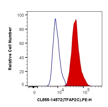 Flow cytometry (FC) experiment of MCF-7 cells using CoraLite®555-conjugated TFAP2C Polyclonal antibody (CL555-14572)