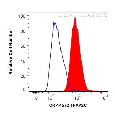Flow cytometry (FC) experiment of HeLa cells using Cardinal Red™-conjugated TFAP2C Polyclonal antibod (CR-14572)