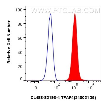 Flow cytometry (FC) experiment of HeLa cells using CoraLite® Plus 488-conjugated TFAP4 Recombinant an (CL488-83196-4)