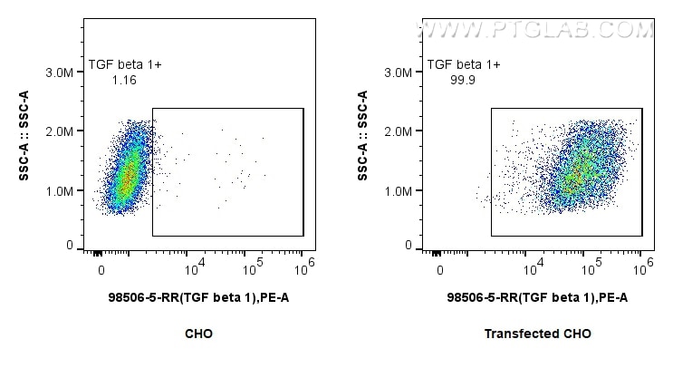 Flow cytometry (FC) experiment of Transfected CHO using Anti-Human TGF beta 1 Rabbit Recombinant Antibody (98506-5-RR)