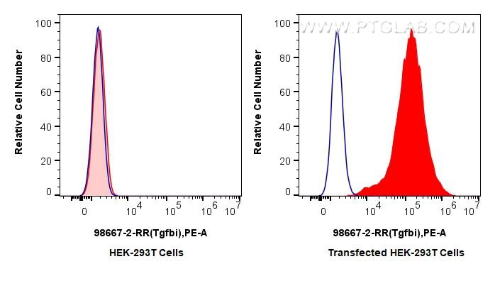 Flow cytometry (FC) experiment of Transfected HEK-293T cells using Anti-Mouse TGFBI/BIGH3 Rabbit Recombinant Antibody (98667-2-RR)