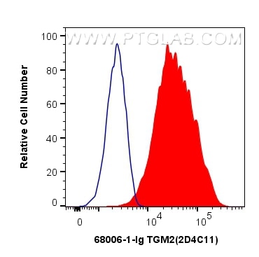 Flow cytometry (FC) experiment of HeLa cells using TGM2 Monoclonal antibody (68006-1-Ig)