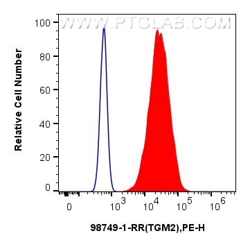 FC experiment of HeLa using 98749-1-RR (same clone as 98749-1-PBS) Flow cytometry (FC) experiment of HeLa cells using Anti-Human TGM2 Rabbit Recombinant Antibody (98749-1-RR)