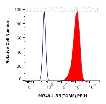 FC experiment of HUVEC using 98749-1-RR (same clone as 98749-1-PBS) Flow cytometry (FC) experiment of HUVEC cells using Anti-Human TGM2 Rabbit Recombinant Antibody (98749-1-RR)