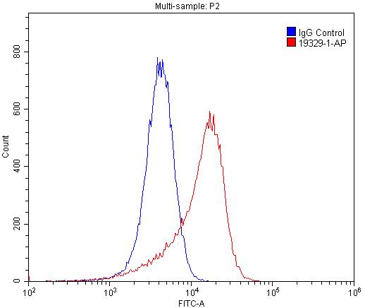 Flow cytometry (FC) experiment of HUVEC cells using Tie1 Polyclonal antibody (19329-1-AP)