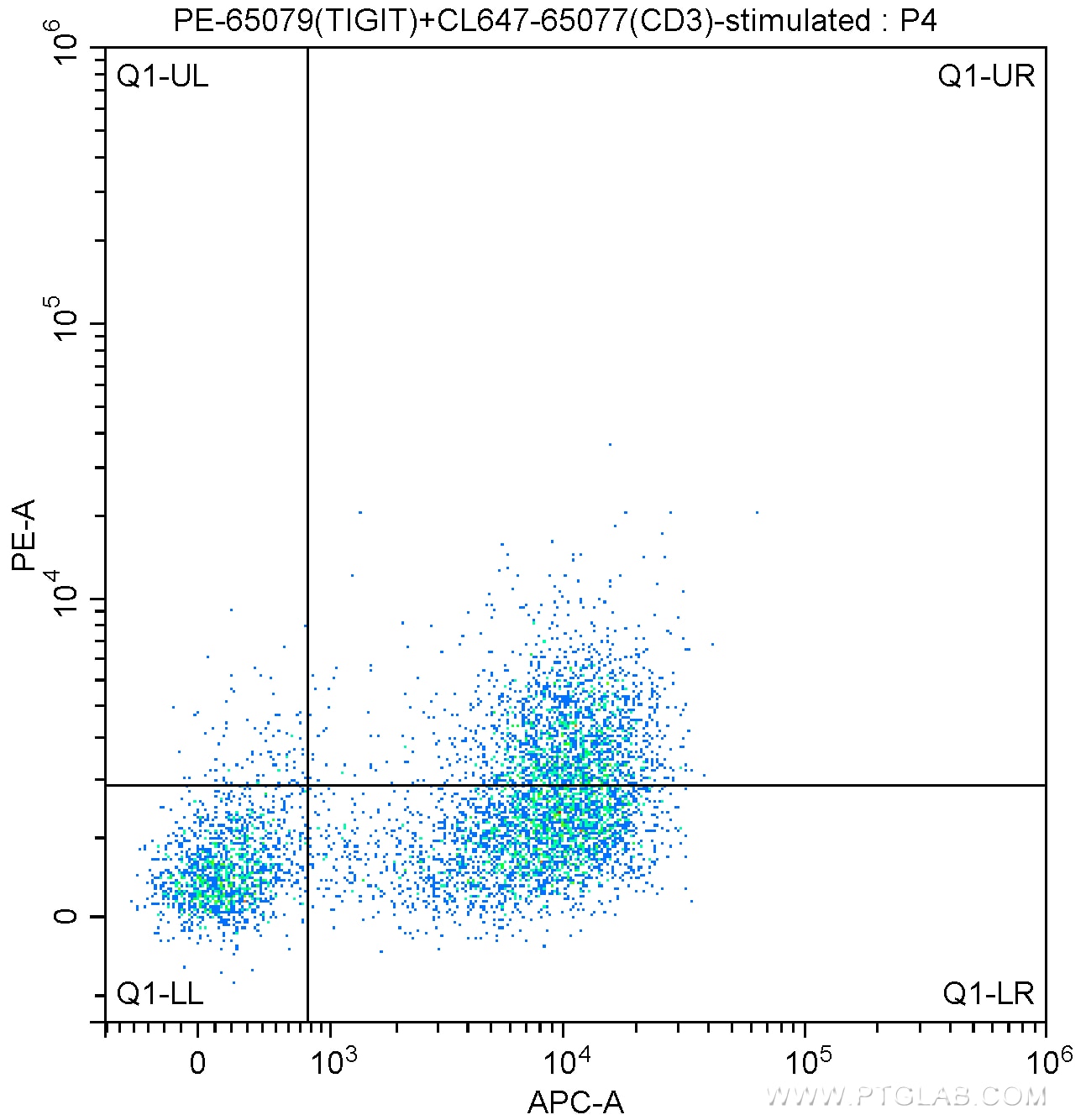 FC experiment of BALB/c mouse splenocytes using PE-65079