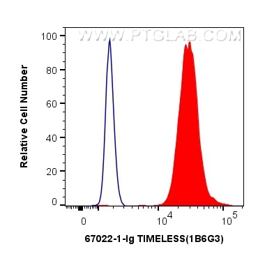 Flow cytometry (FC) experiment of HEK-293 cells using TIMELESS Monoclonal antibody (67022-1-Ig)