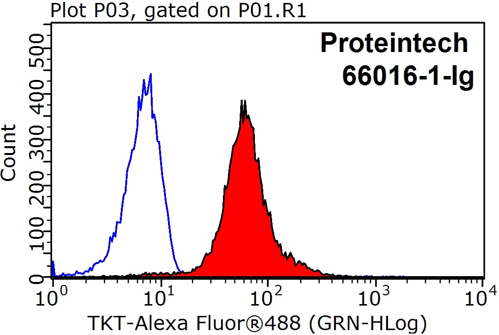Flow cytometry (FC) experiment of HepG2 cells using Transketolase Monoclonal antibody (66016-1-Ig)