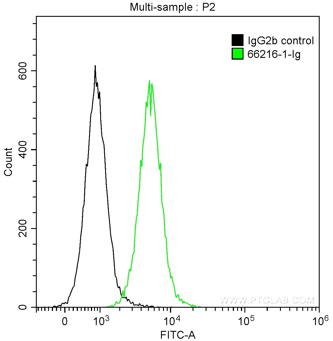 FC experiment of Jurkat using 66216-1-Ig