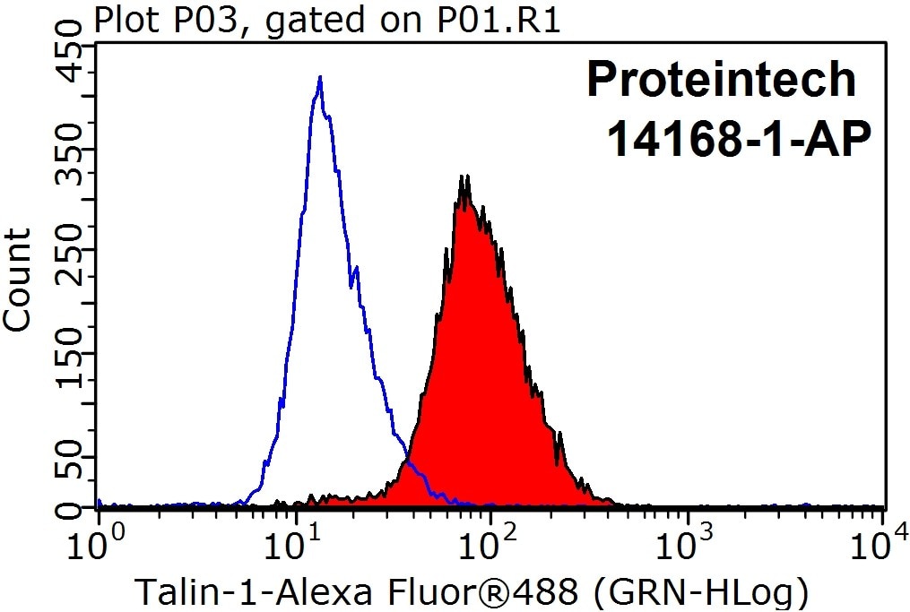 Flow cytometry (FC) experiment of HepG2 cells using Talin-1 Polyclonal antibody (14168-1-AP)