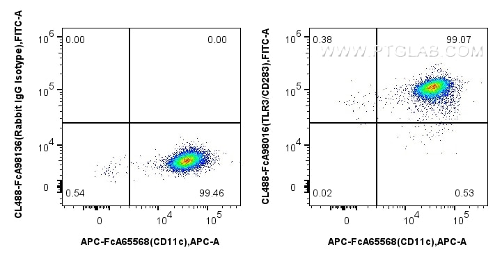 FC experiment of human monocyte-derived immature dendritic cells using CL488-FcA98016 Flow cytometry (FC) experiment of human monocyte-derived immature dendritic cells using FcZero-rAb® CoraLite® Plus 488 Anti-Human TLR3/CD2 (CL488-FcA98016)