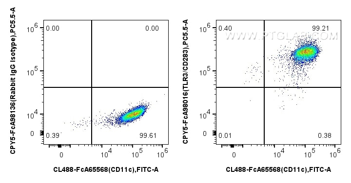 FC experiment of human monocyte-derived immature dendritic cells using CPY5-FcA98016 Flow cytometry (FC) experiment of human monocyte-derived immature dendritic cells using FcZero-rAb® PerCP-Cyanine5.5 Anti-Human TLR3/CD283 (CPY5-FcA98016)