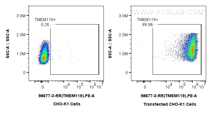 FC experiment of Transfected CHO-K1 using 98677-3-RR Flow cytometry (FC) experiment of Transfected CHO-K1 using Anti-Human TMEM119 Rabbit Recombinant Antibody (98677-3-RR)