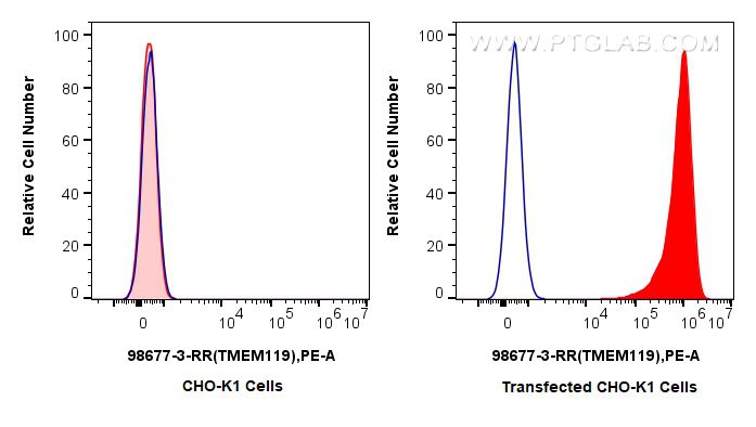 FC experiment of Transfected CHO-K1 using 98677-3-RR Flow cytometry (FC) experiment of Transfected CHO-K1 using Anti-Human TMEM119 Rabbit Recombinant Antibody (98677-3-RR)