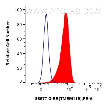 FC experiment of SH-SY5Y using 98677-3-RR Flow cytometry (FC) experiment of SH-SY5Y cells using Anti-Human TMEM119 Rabbit Recombinant Antibody (98677-3-RR)