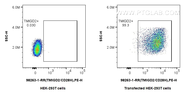 Flow cytometry (FC) experiment of Transfected HEK-293T cells using Anti-Human TMIGD2/CD28H Rabbit Recombinant Antibod (98263-1-RR)