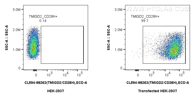 FC experiment of Transfected HEK-293T using CL594-98263 Flow cytometry (FC) experiment of Transfected HEK-293T cells using CoraLite®594 Anti-Human TMIGD2/CD28H Rabbit Recomb (CL594-98263)