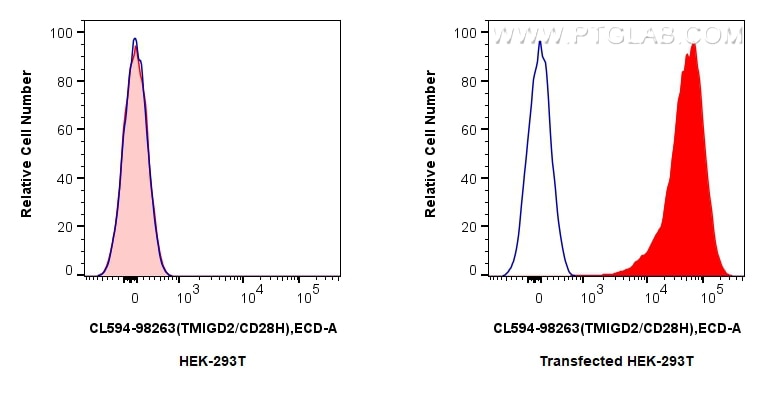 FC experiment of Transfected HEK-293T using CL594-98263 Flow cytometry (FC) experiment of Transfected HEK-293T cells using CoraLite®594 Anti-Human TMIGD2/CD28H Rabbit Recomb (CL594-98263)