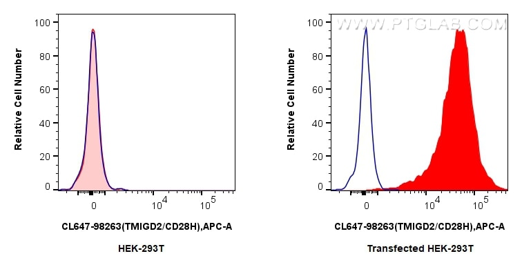 FC experiment of Transfected HEK-293T using CL647-98263 Flow cytometry (FC) experiment of Transfected HEK-293T cells using CoraLite® Plus 647 Anti-Human TMIGD2/CD28H Rabbit (CL647-98263)