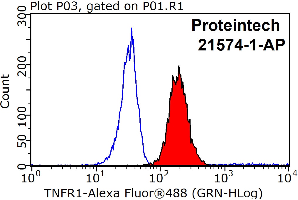 Flow cytometry (FC) experiment of Raji cells using TNFR1 Polyclonal antibody (21574-1-AP)