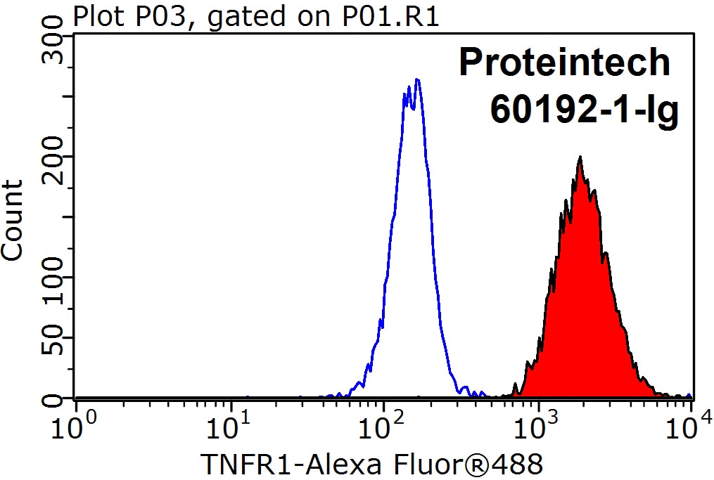 Flow cytometry (FC) experiment of Raji cells using TNFR1 Monoclonal antibody (60192-1-Ig)