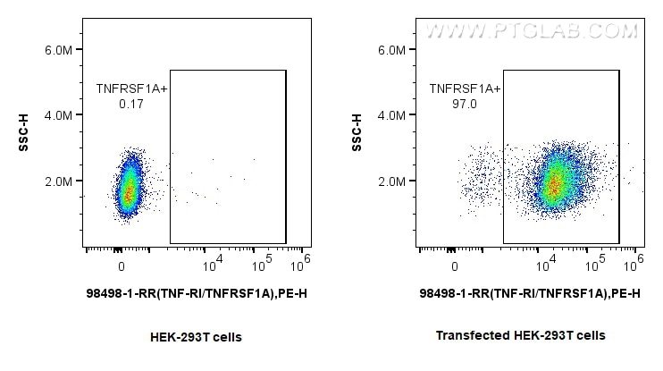 1x10^6 HEK-293T cells or TNFR1/CD120a transfected HEK-293T cells were surface stained with 0.25 ug Anti-Mouse TNFR1/CD120a Rabbit RecAb (98498-1-RR, Clone: 250007H7) and PE-Conjugated Goat Anti-Rabbit IgG(H+L). Cells were not fixed. This data was developed using the same antibody clone with 98498-1-PBS in a different storage buffer formulation. Flow cytometry (FC) experiment of Transfected HEK-293T cells using Anti-Mouse TNFR1/CD120a Rabbit Recombinant Antibod (98498-1-RR)