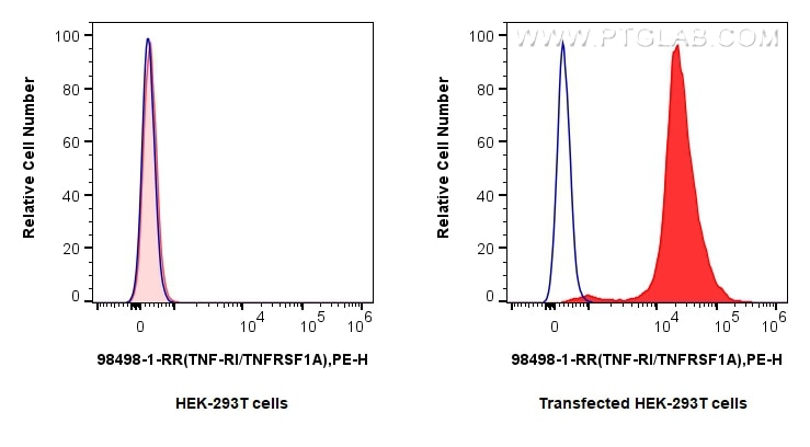 1x10^6 HEK-293T cells or TNFR1/CD120a transfected HEK-293T cells were surface stained with 0.25 ug Anti-Mouse TNFR1/CD120a Rabbit RecAb (98498-1-RR, Clone: 250007H7) (red) or 0.25 ug Rabbit IgG Isotype Control RecAb (98136-1-RR, Clone: 240953C9) (blue), and PE-Conjugated Goat Anti-Rabbit IgG(H+L). Cells were not fixed. This data was developed using the same antibody clone with 98498-1-PBS in a different storage buffer formulation. Flow cytometry (FC) experiment of Transfected HEK-293T cells using Anti-Mouse TNFR1/CD120a Rabbit Recombinant Antibod (98498-1-RR)